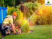 Landscape Architecture