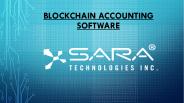 Blockchain accounting software (1)
