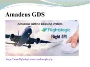 Amadeus GDS (6)