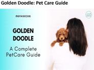 Golden Doodle: Pet Care Guide