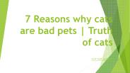 7 Reasons why cats are bad pets