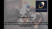Best Pet Tracker - Kingston's Pet