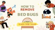 How to Remove Bed Bugs from Bedsheets
