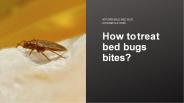 How to treat bed bugs bites?
