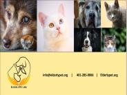Rehoming a pet