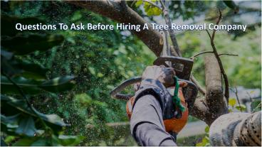 Questions To Ask Before Hiring A Tree Removal Company