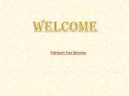 Immediate Tree Reduction in Hengrove