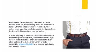 Features Of Alligator Skin Leather Belt