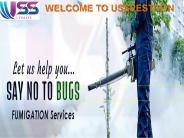 Best Professional Pest Control Services in Jaipur