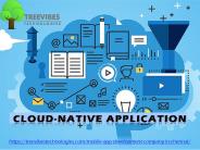 Cloud-Native Application_treevibestechnologies