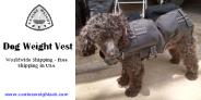 Dog Weight Vest