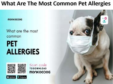 What Are The Most Common Pet Allergies