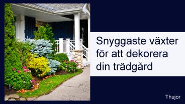 Snyggaste växter för att dekorera din trädgård