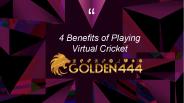 4 Benefits of Playing Virtual Cricket