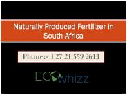 Naturally Produced Fertilizer in South Africa