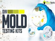 Mold Inspection Company In Los Angeles