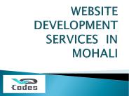 Website Development Services in Mohali