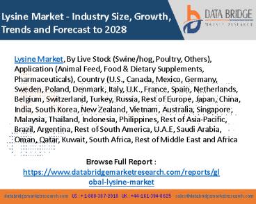 Global Lysine Market