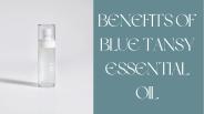 BENEFITS OF BLUE TANSY ESSENTIAL OIL