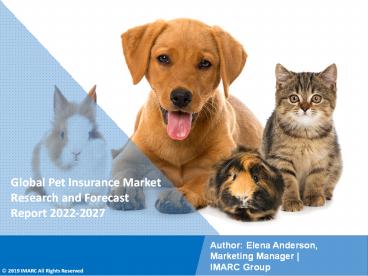 Pet Insurance Market PPT: Growth, Outlook, Demand, Keyplayer Analysis and Opportunity 2022-27