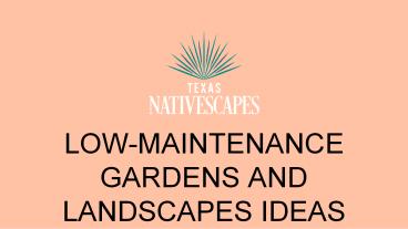 Low-Maintenance Gardens and Landscapes ideas Texas