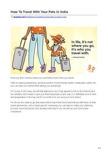 HOW TO TRAVEL WITH YOUR PETS IN INDIA