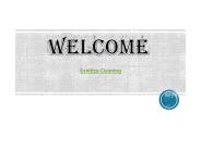 Professional Cleaner in Maidstone