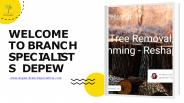 Branch Specialists Depew