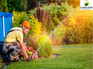Landscaping Front Yard