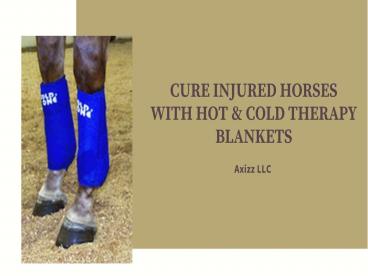 CURE INJURED HORSES WITH HOT & COLD THERAPY BLANKETS (1)