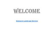 Expert Tree Surgeon in Hale