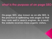 What is the purpose of On Page SEO?