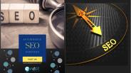 Affordable SEO services Delhi NCR