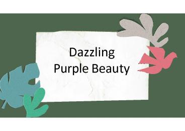Dazzling Purple Beauty