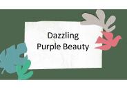 Dazzling Purple Beauty