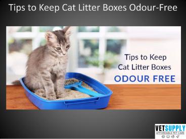 Tips to Keep Cat Litter Boxes Odour-Free - VetSupply
