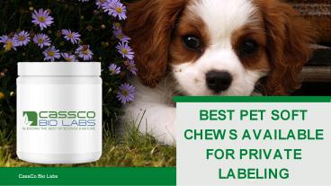 BEST PET SOFT CHEWS AVAILABLE FOR PRIVATE LABELING