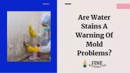 Are Water Stains A Sign Of Mold Problems?