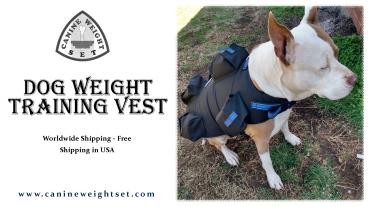 Dog Weight Training Vest