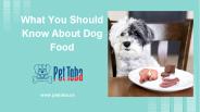 What You Should Know About Dog Food