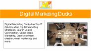 Digital Marketing Services