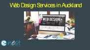 Web Design Company in Auckland