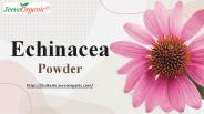 Echinacea Powder