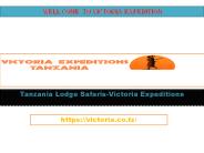 Tanzania Lodge Safaris-Victoria Expeditions