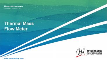 Thermal Mass Flow Meter