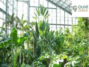 Carbon Neutrality