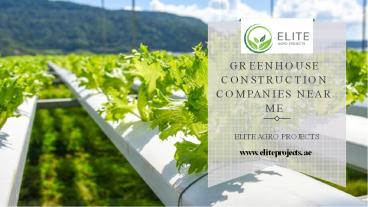 Greenhouse construction