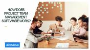 How does project team management software work?