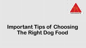 Important Tips of Choosing The Right Dog Food