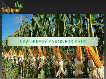 New Jersey Farms For Sale (1)